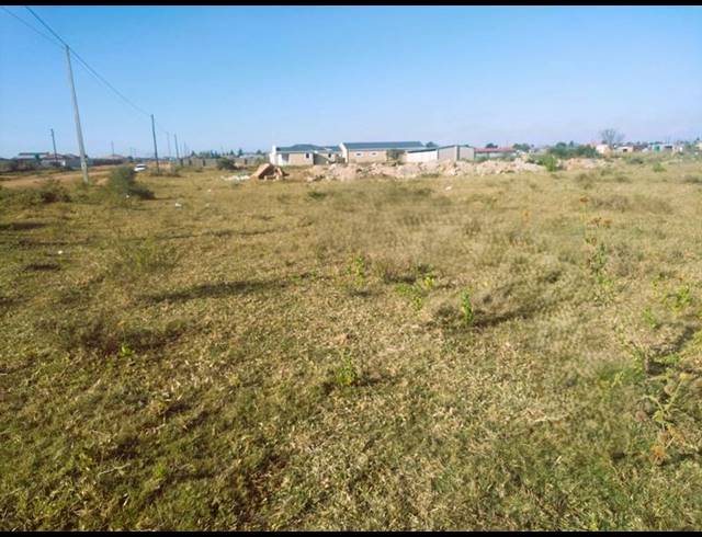 LAND FOR SALE IN MANKWENG